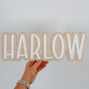 3d double Layer name plaque with wood and acrylic